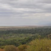  Lake Manyara, TZ